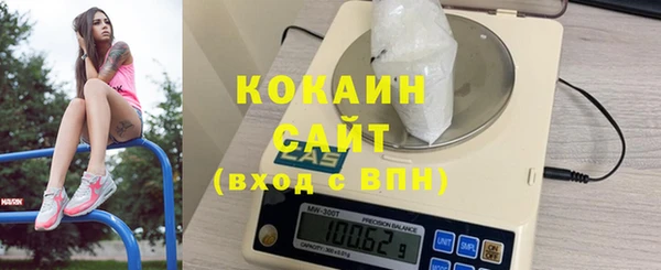 винт Богданович